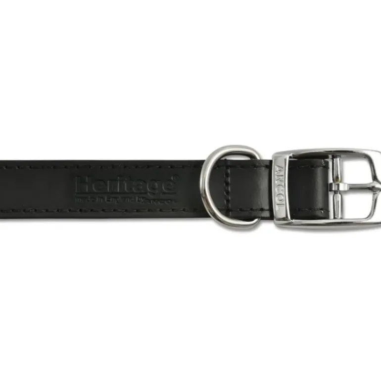 Ancol Heritage Leather Dog Collar