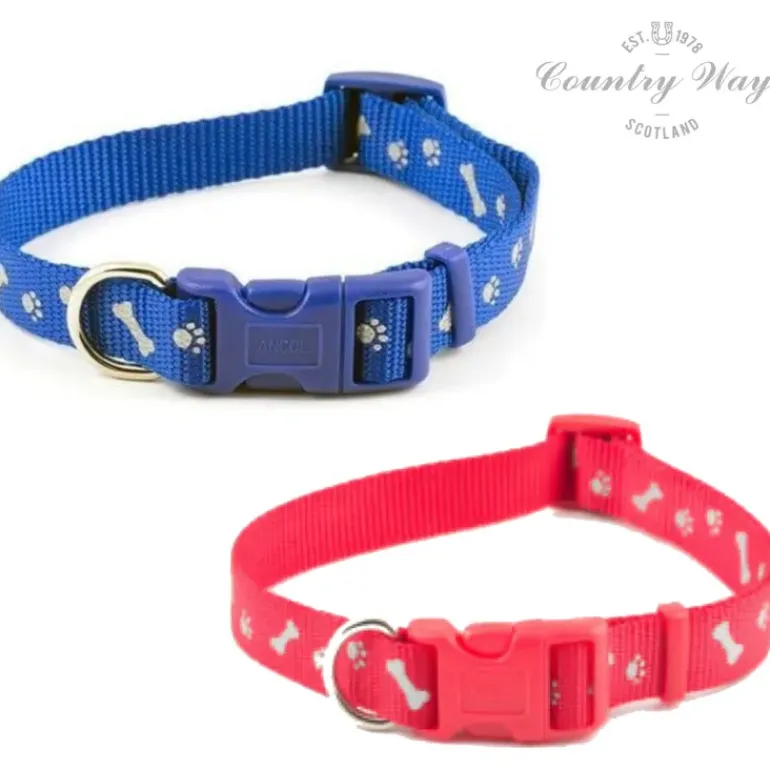 Ancol Padded Nylon Lead