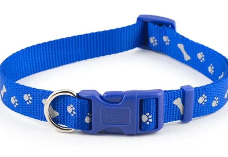 Ancol Padded Nylon Lead