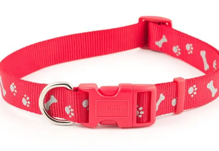 Ancol Padded Nylon Lead