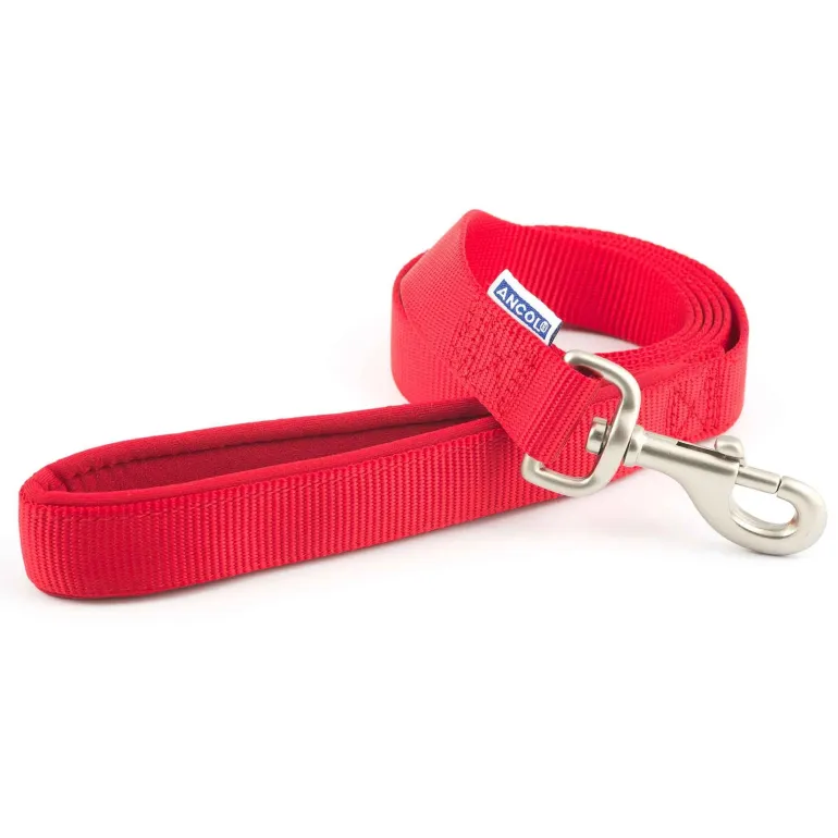Ancol Padded Nylon Lead