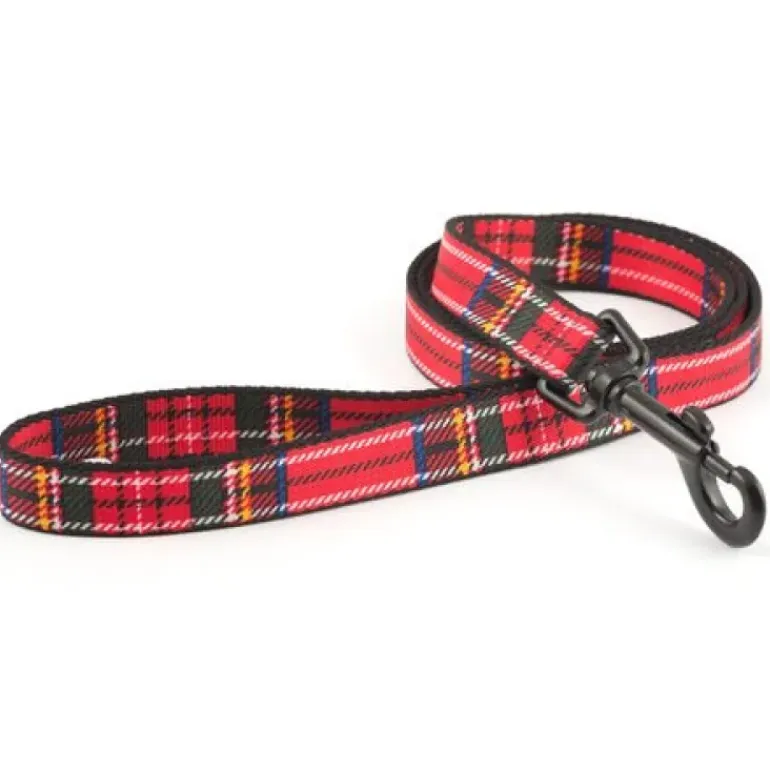 Ancol Paw & Bone Lead