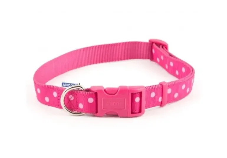 Ancol Timberwolf Leather Collar