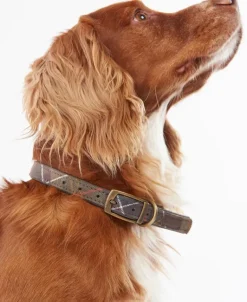 Barbour Classic Tartan Leather Dog Collar
