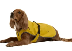 Barbour Evie Waterproof Dog Coat