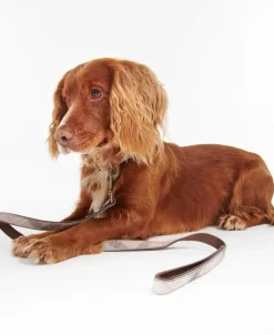 Barbour Reflective Dog Lead