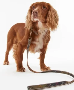 Barbour Reflective Dog Lead