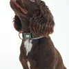 Barbour Reflective Tartan Comfort Dog Collar