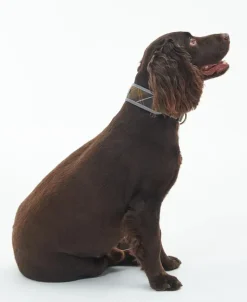Barbour Reflective Tartan Comfort Dog Collar