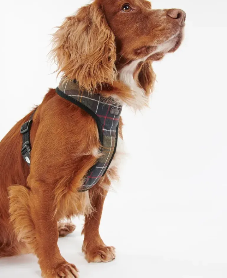 Barbour Tartan Dog Harness