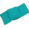 Bisley Beanbag Dog Puppy Dummy Green