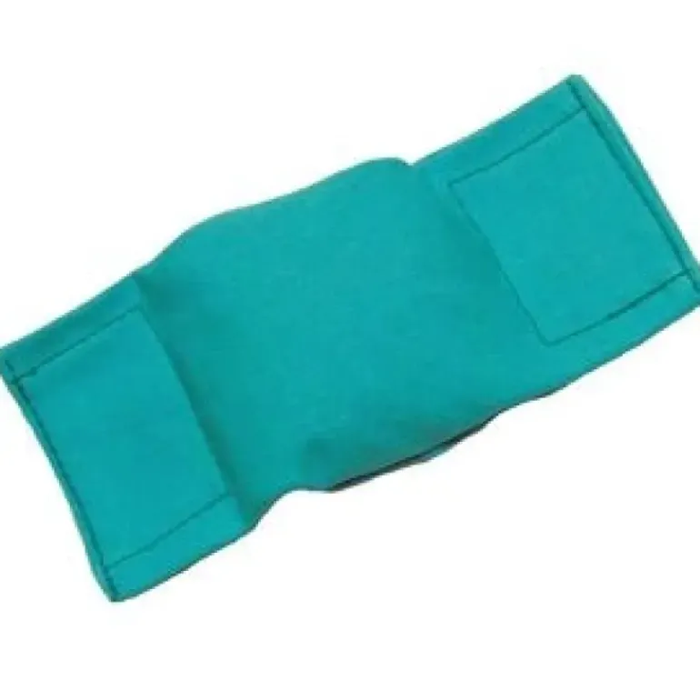 Bisley Beanbag Dog Puppy Dummy Green