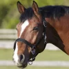 BITZ DELUXE PADDED HEADCOLLAR BLACK