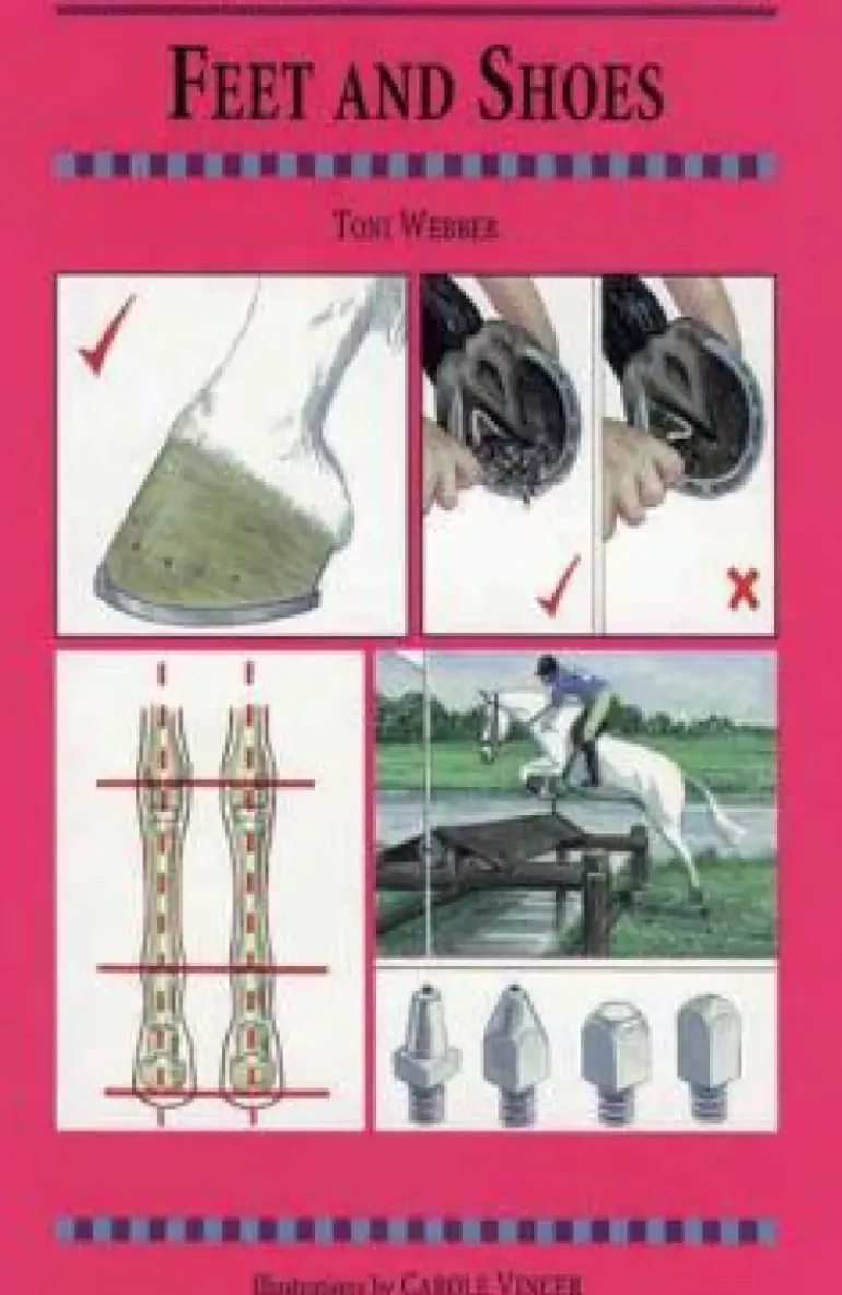 Book Threshold Guide No.13. Stables and Shelters