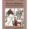 Book Threshold Guide No.22. The Outdoor Pony