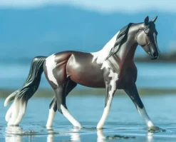 Breyer Pinto