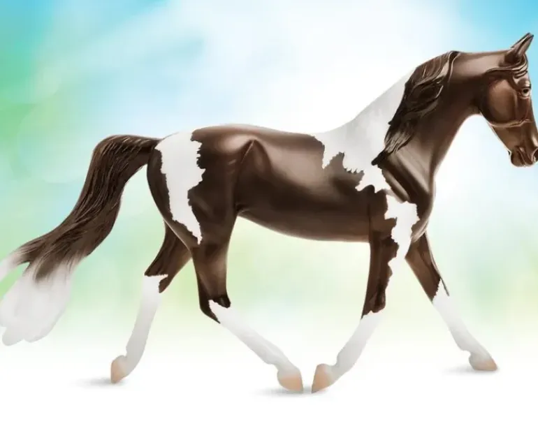 Breyer Pinto