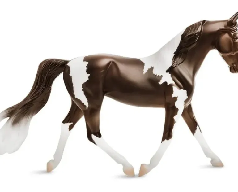 Breyer Pinto
