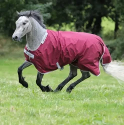 Bucas Atlantic Exclusive 200g Medium Turnout Rug