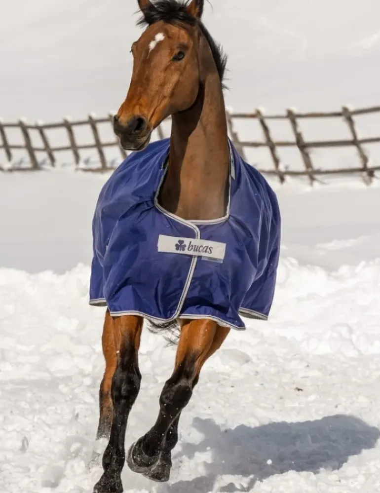 Bucas Atlantic 200g Turnout Rug