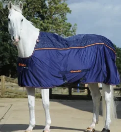 Bucas Big Neck Therapy Cooler