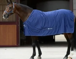Bucas Classic Cut Shamrock Power Rug