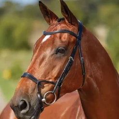 Collegiate Comfitec Training Bridle