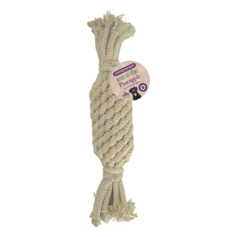 Companion Natural Eco-Friends Pineapple Shaped Dog Toy