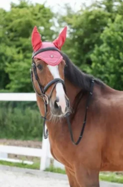 Covalliero Fly Hood SS22