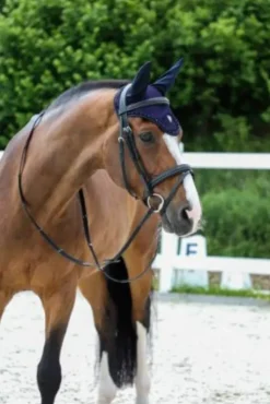 Covalliero Fly Hood SS22