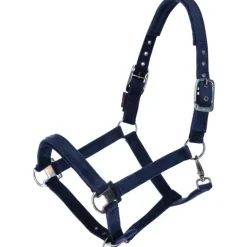 Covalliero Velvet Headcollar AW23