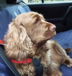 Danish Design Waterproof Car Seat Cover
