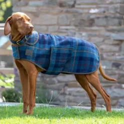 Digby & Fox Tweed Dog Coat