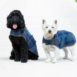 Digby & Fox Tweed Dog Coat