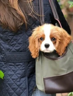 Django Dog Carrier Bag
