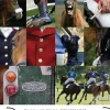 Equestrian Notecards 2 (Colour) by Charles Sainsbury-Plaice