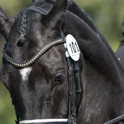Equetech Bridle Numbers