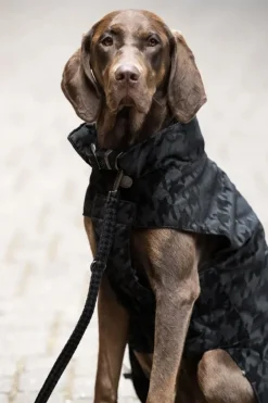 Eskadron Essence Velvet Stamp Dog Coat