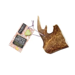 Green & Wild's Fallow Antler Chew