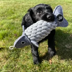 Green & Wild's Roger the Ropefish Eco Dog Toy