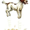 Greeting Card - Springer by Bryn Parry