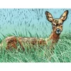 Greeting Card - Tina's Doe by Colin Blanchard
