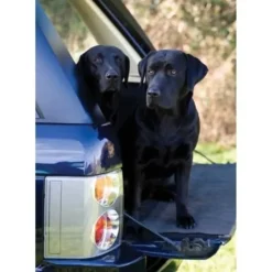 Greeting Card - Working Dogs by Charles Sainsbury-Plaice
