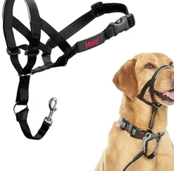 Halti Dog Headcollar