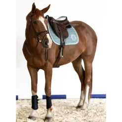 Harcour Siriel GP/Jump Saddle Pad