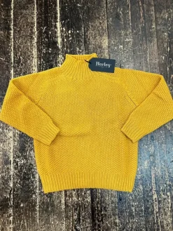 Harley of Scotland Women's Turtle Neck Moss Knit