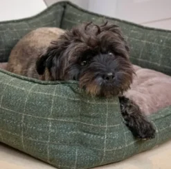 House of Paws Moss Tweed Rectangle Bed