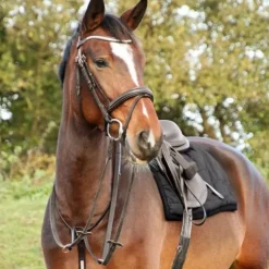 Hy Equestrian Rosciano Martingale