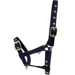 HY Foal Headcollar