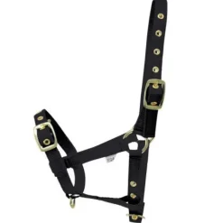 HY Foal Headcollar